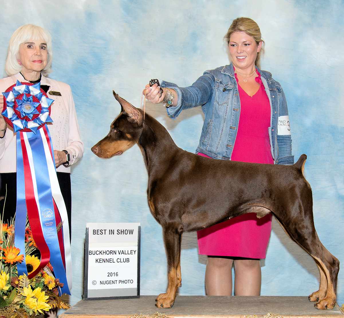 Ripcord doberman hot sale